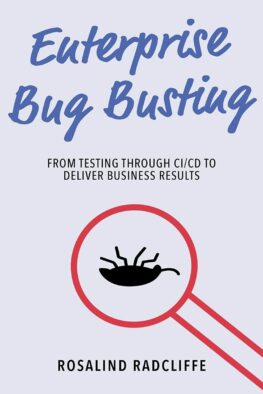 enterprise-bug-busting